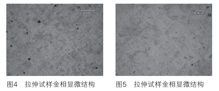 1614742115154976.jpg 3.jpg