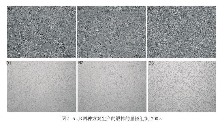 A 、B兩種方案生產(chǎn)的鍛棒的顯微組織