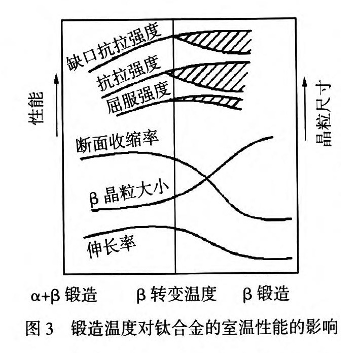 1651893766213506.jpg t3.jpg