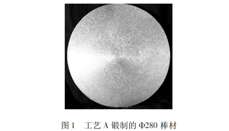 1658010583118136.jpg t1.jpg