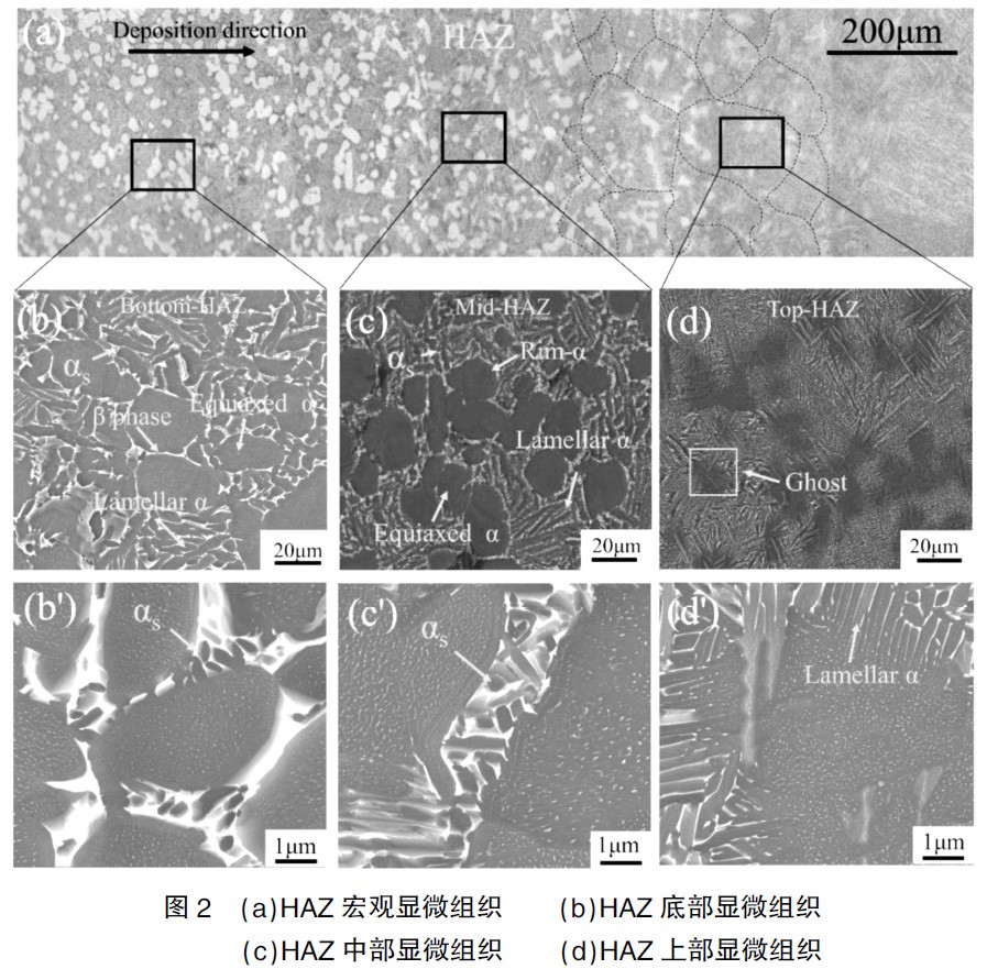 1675294914192320.jpg t2.jpg