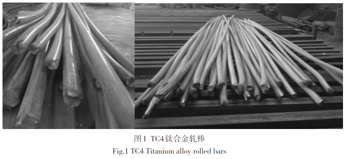 1676039328693811.jpg t1.jpg