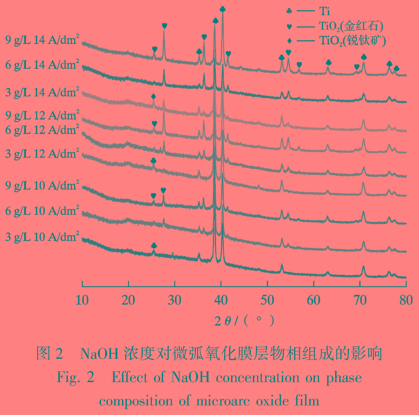 1681130755632961.jpg t2.jpg