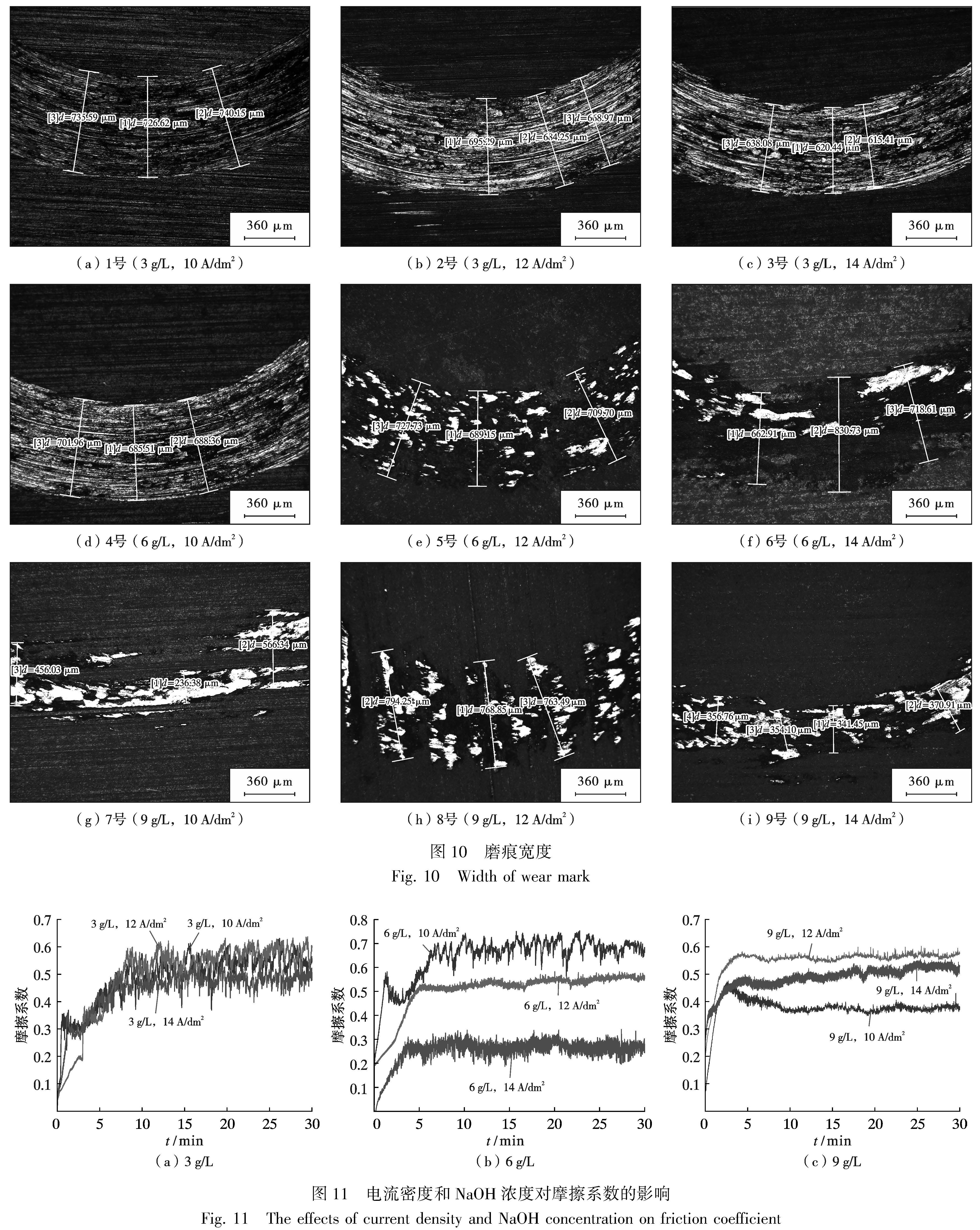 t10-11.jpg t10-11.jpg