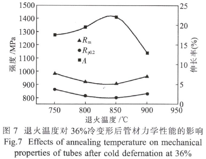 1681621239502683.jpg t7.jpg