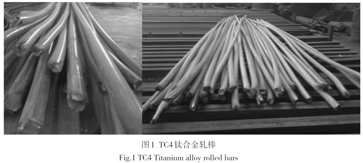 1684398514250645.jpg t1.jpg