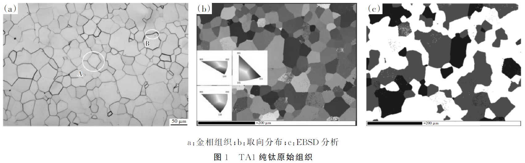 1686197609987784.jpg t1.jpg