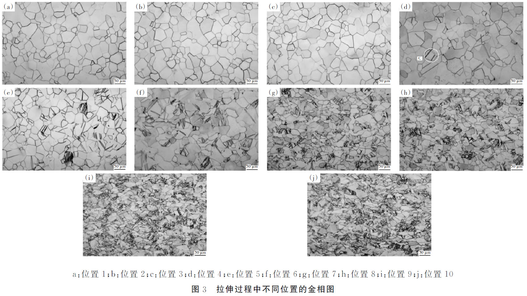 1686197636973074.jpg t3.jpg