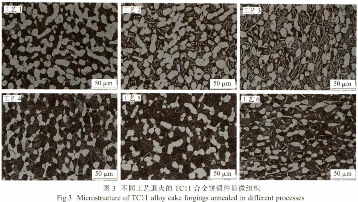 1688981660581936.jpg 360截圖165406061078699.jpg