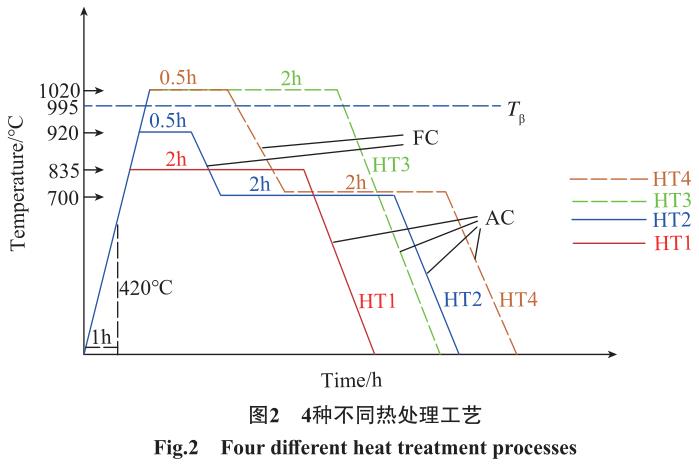 1692456095838833.jpg t2.jpg