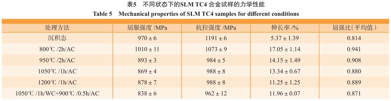 1692456230913871.jpg b5.jpg