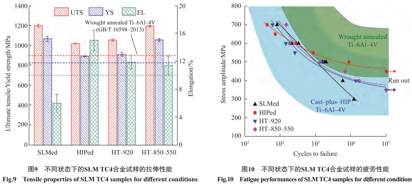 1692456266266159.jpg t9-10.jpg