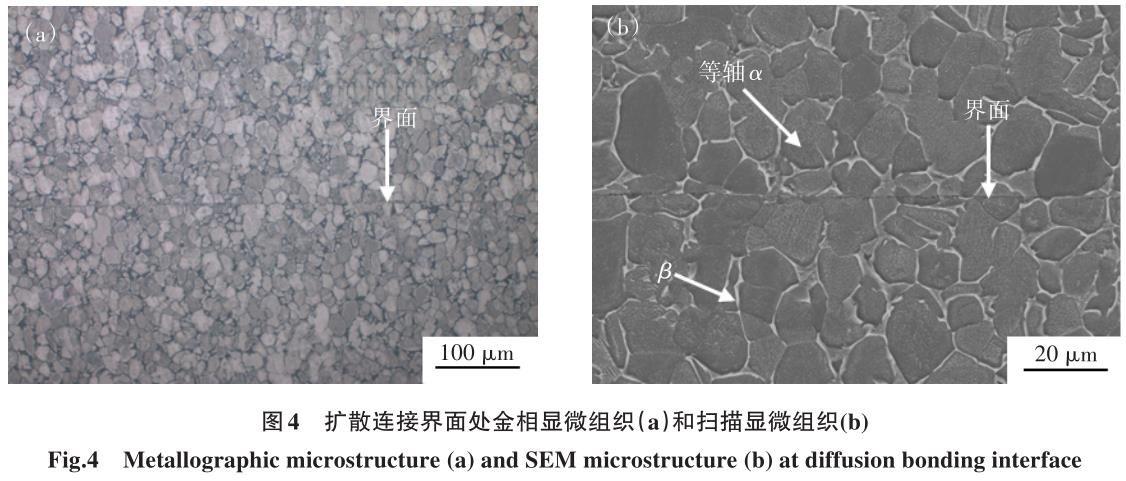 1700449278275537.jpg t4.jpg