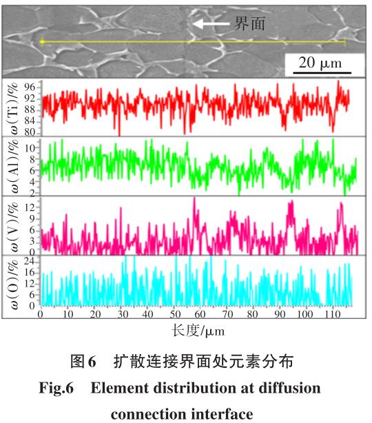 1700449293700859.jpg t6.jpg