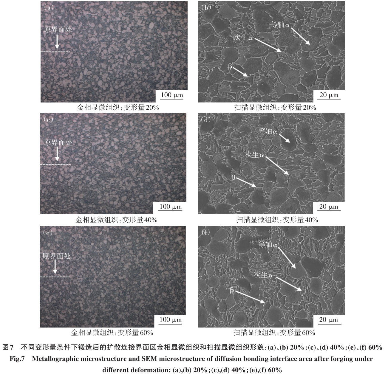 1700449301855440.jpg t7.jpg