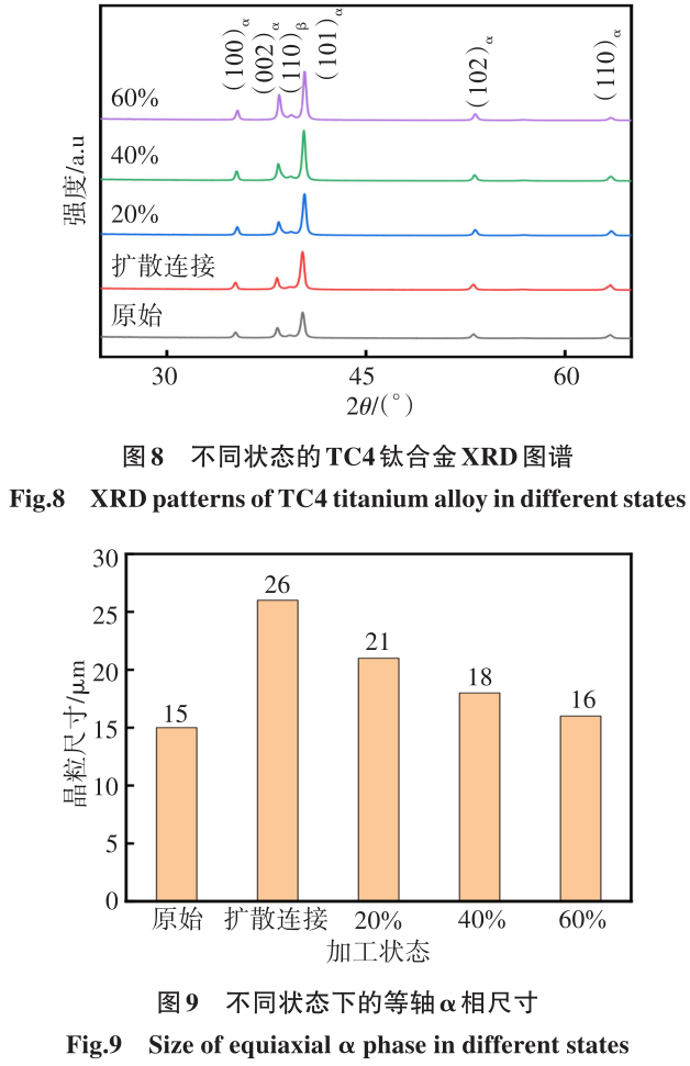 1700449308451772.jpg t8-9.jpg