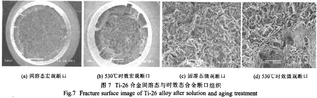 1700535962917126.jpg t7.jpg