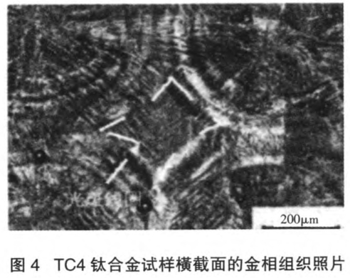 1700569601232323.jpg t4.jpg