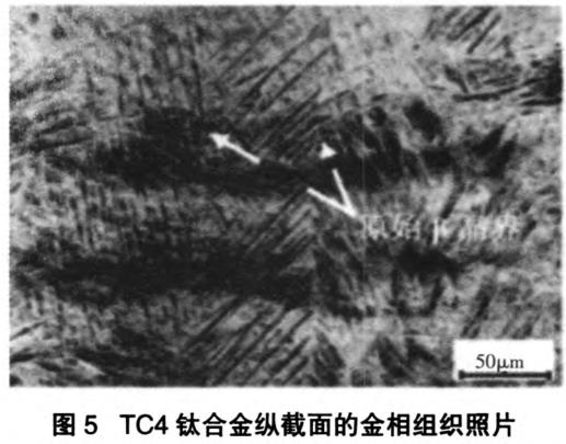 1700569616153503.jpg t5.jpg