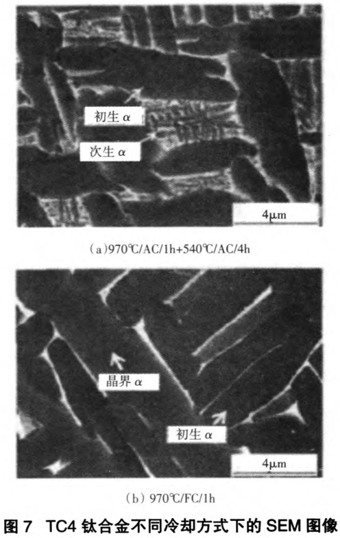 1700569647793912.jpg t7.jpg