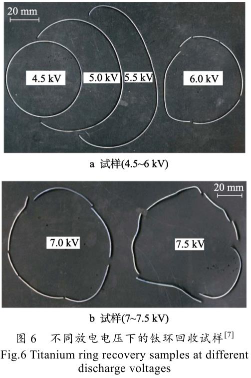 1701944585250181.jpg t6.jpg