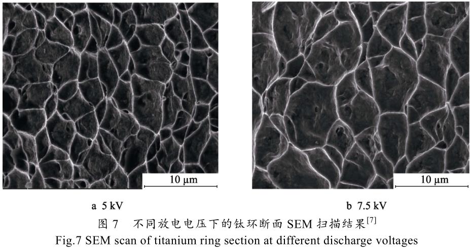 1701944594687504.jpg t7.jpg