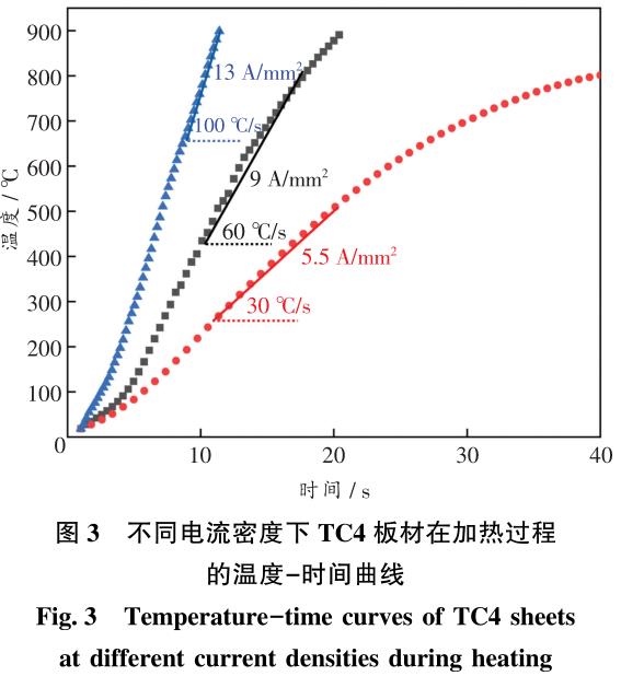 1702458239167724.jpg t3.jpg