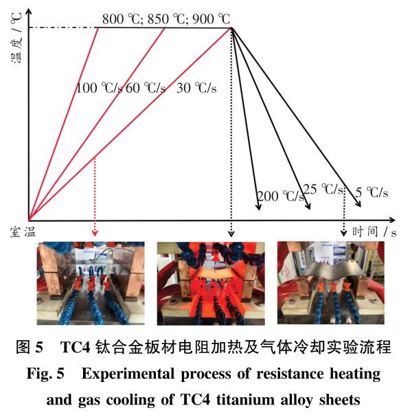 1702458270107155.jpg t5.jpg