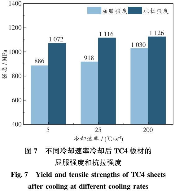 1702458289328958.jpg t7.jpg