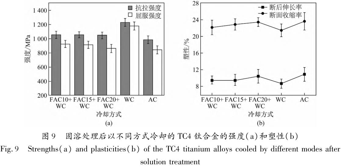 1705831294917785.jpg t9.jpg