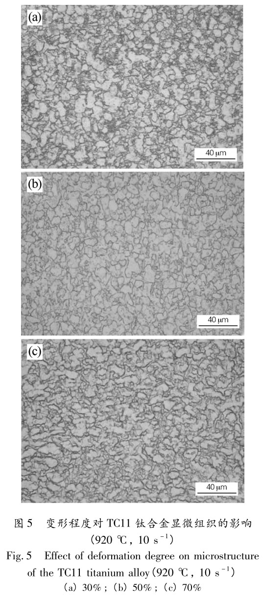 1705848789721607.jpg t5.jpg