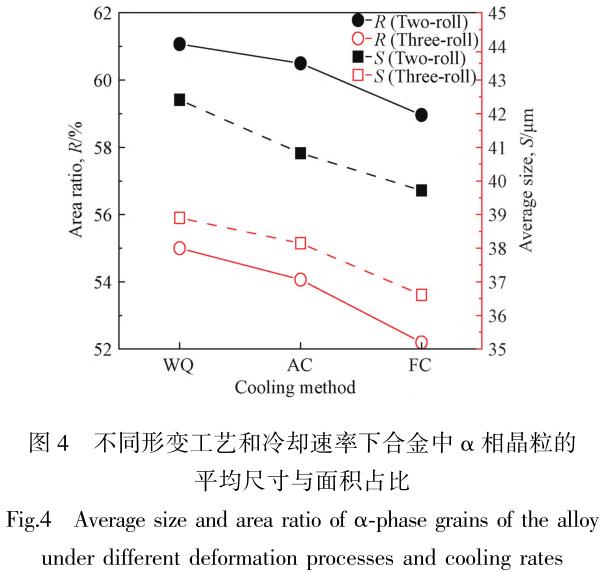 1705876475802615.jpg t4.jpg